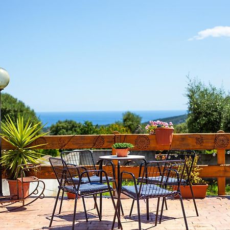 Agriturismo Paulesa 도르갈리 외부 사진