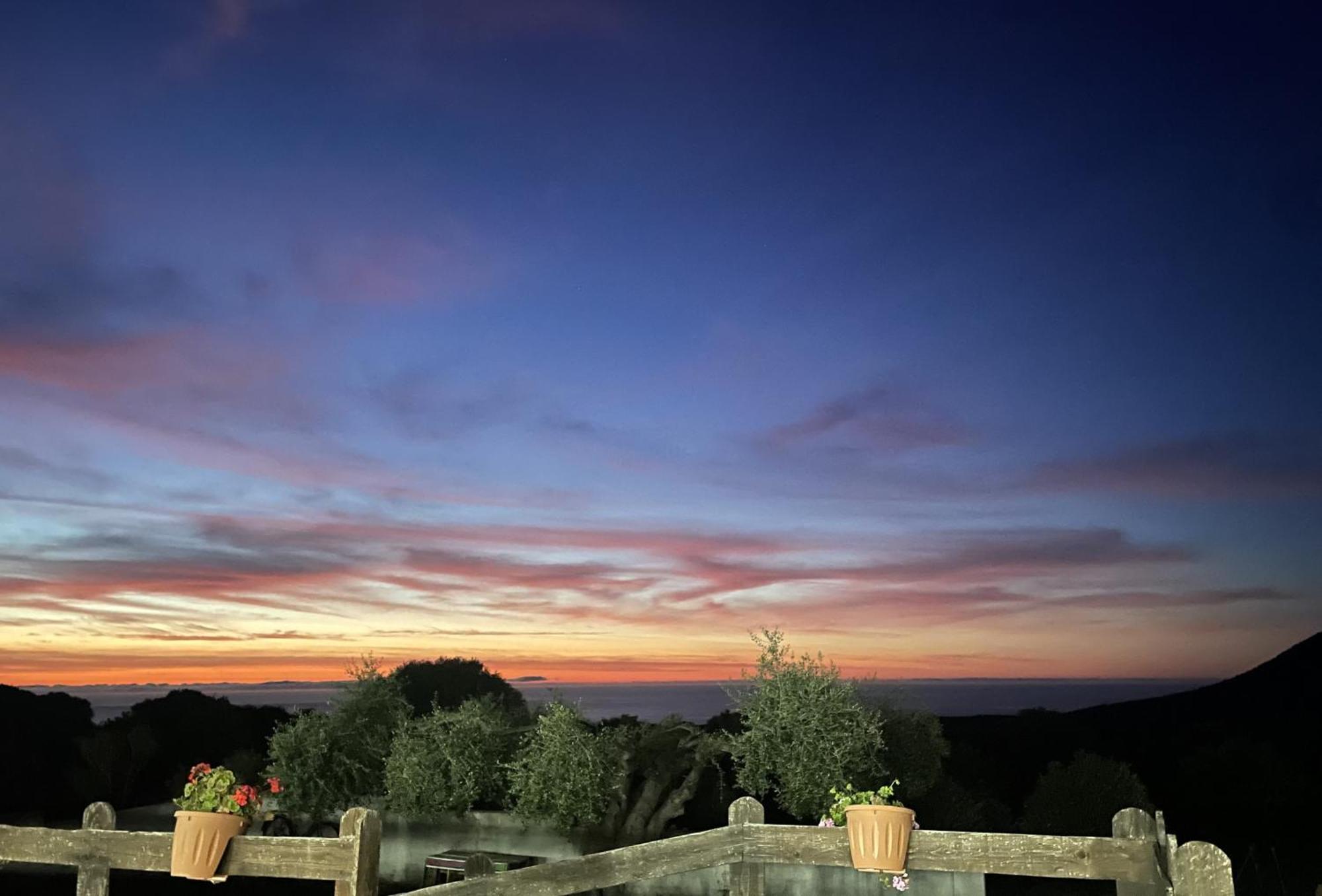 Agriturismo Paulesa 도르갈리 외부 사진
