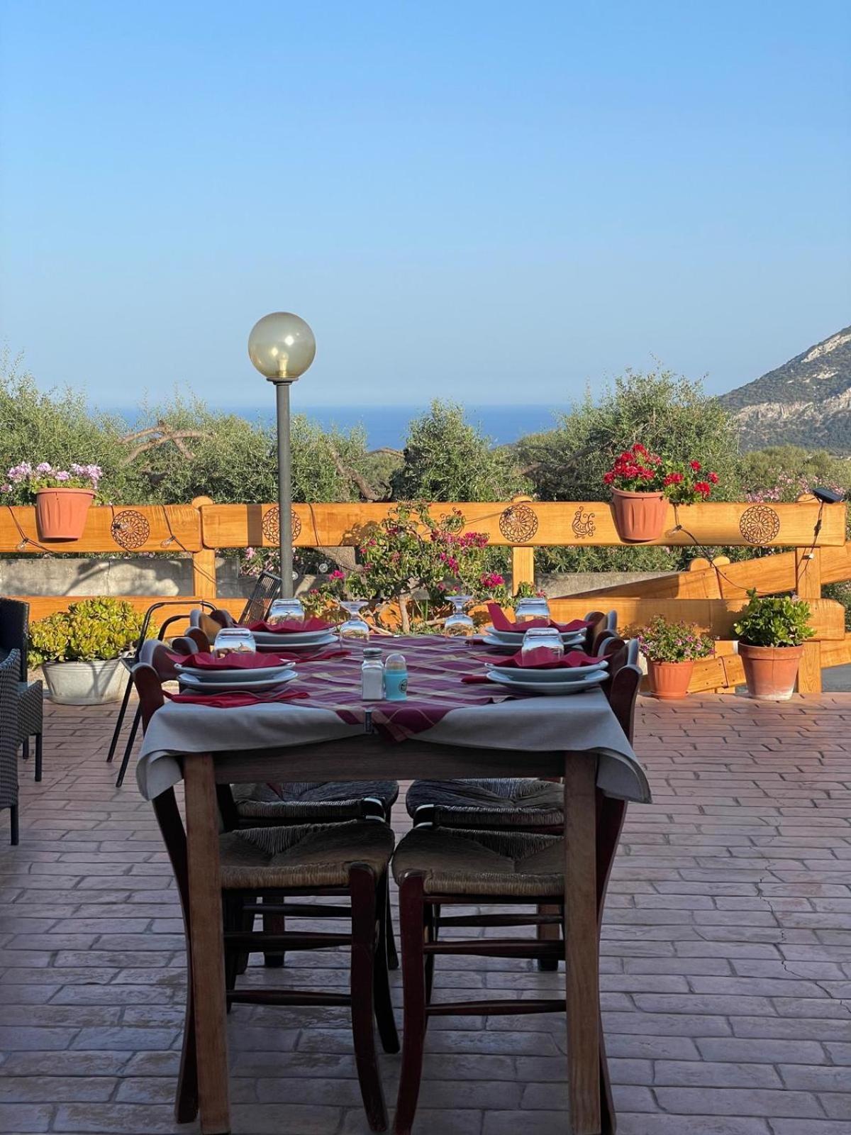 Agriturismo Paulesa 도르갈리 외부 사진