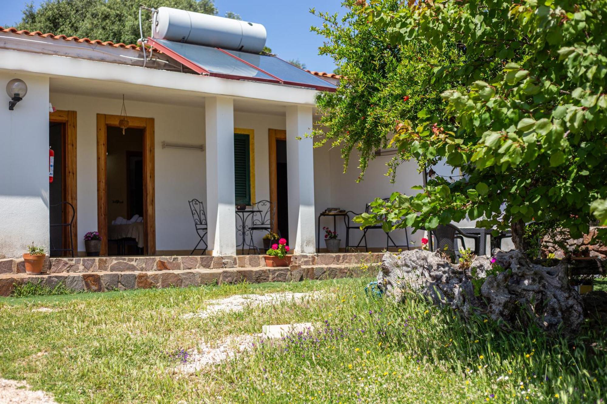 Agriturismo Paulesa 도르갈리 외부 사진